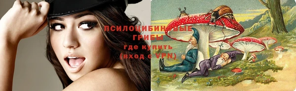 a pvp Елабуга