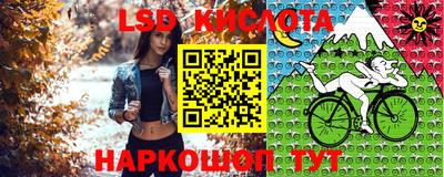 гидропоника Бийск