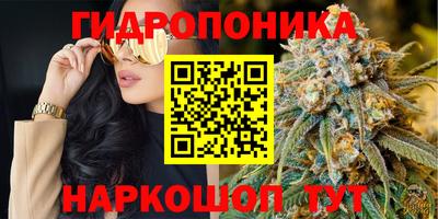 не бодяженный Гусев
