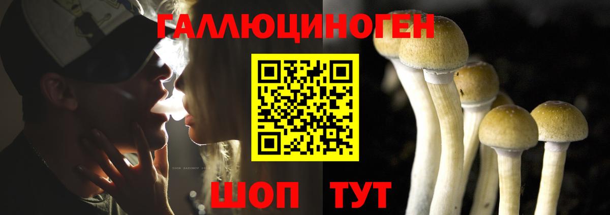 Галлюциногенные грибы мухоморы Дубна